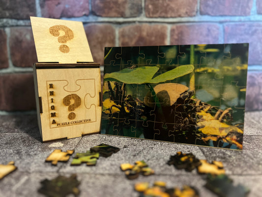 EPC - Turtle Turtle Turtle