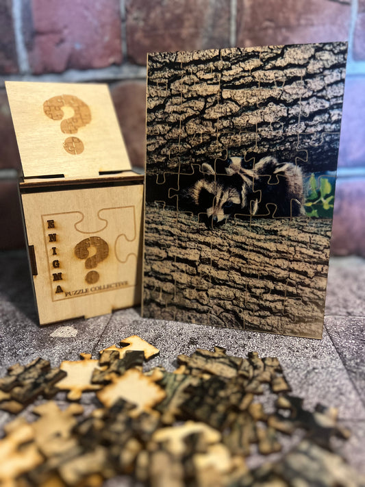 EPC - Trash Panda a Deux