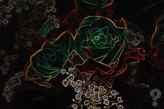 EPC - Neon Rose